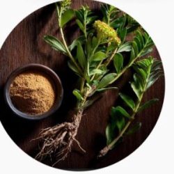 downloading-12-rfb4fnso73i34ge9vic43p6utjs50peeigktvkzfd4